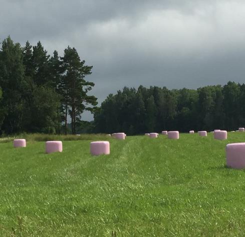 Hva er pensjon? Økonomisk trygghet for fremtiden.