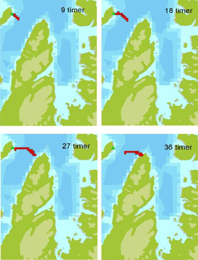 Figur 14 "Tilstedeværelse av olje for ulike tidspunkt i et 1x1 km rutenett for vindscenariet som gav størst strandet oljemengde på Sværholtklubben med utslipp fra lokalitet 1.