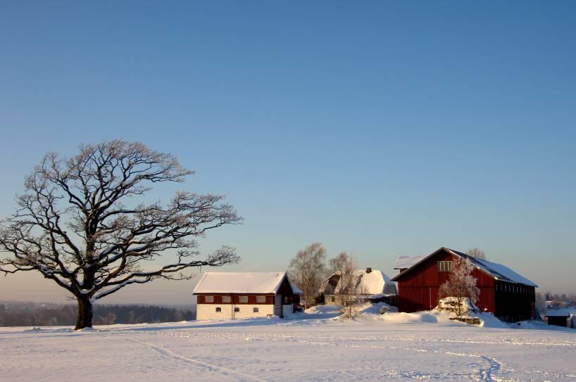 Landbruk De fleste av fylkesmannens oppgaver på området Unntak for klage, kontroll med tilskuddsforvaltningen, innsigelse,