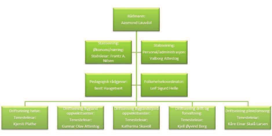 Administrativ organisering Organisasjonskart administrasjonen i Bygland kommune ved utgangen 2016 Mål Aktivitet og mål er forankra i vedteken kommuneplan, og går fram av vedteke budsjett/ økonomiplan.