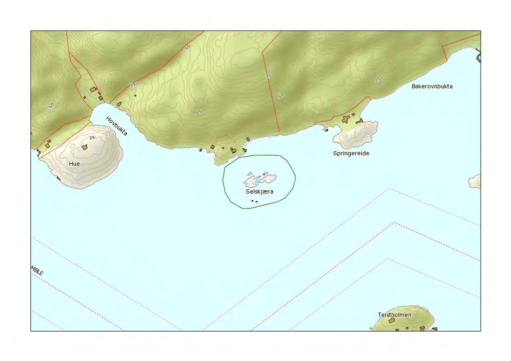 9. Selskjæra, Bamble kommune Selskjæra er en liten holme med skvalpekjær innenfor Valle i Fossingfjorden. Holmen har en variert og liten hekkebestand av flere arter.