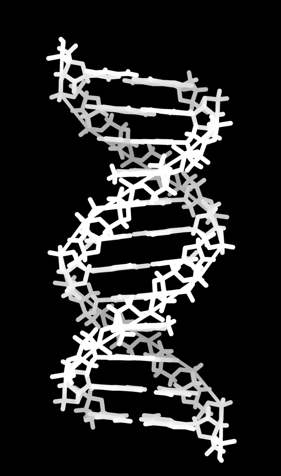 DNA strålingsfysikk Indirekte