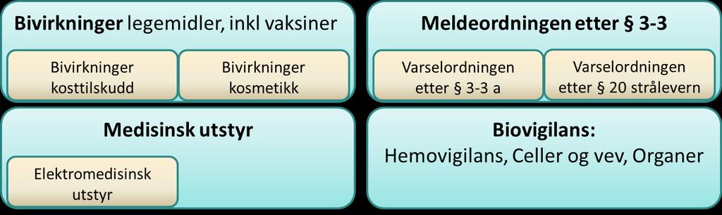 I spesialisthelsetjenesten er meldeprosessene i stor grad knyttet til virksomhetenes kvalitets- og avvikssystem.