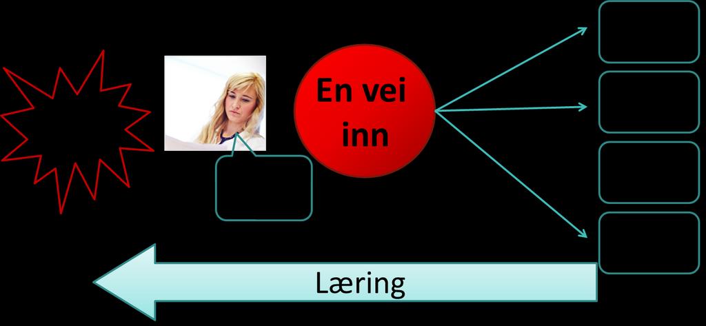 Figur 9-2 Effekt av felles meldesystem Flere hendelser blir meldt fordi det oppleves som enkelt å melde.