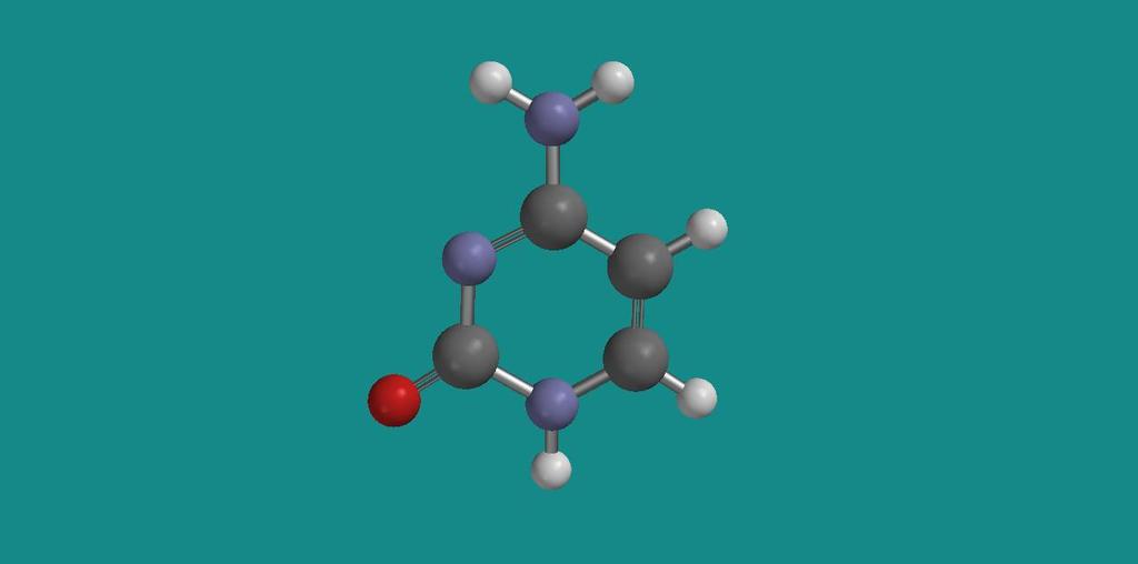 cytosin (C), C4H5N3O Cytosin eller thymin (T), C5H6N2O2 Thymin Aminobasen erstatter hydroksylgruppen (OH) på karbonatomet i posisjon 1 (C1) på karbohydratet (der vi nummererer C-atomene, fra 1 for