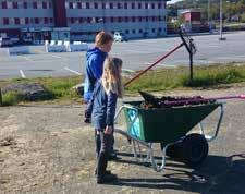 Deltakerne deles inn i grupper etter ferdighetsnivå og det undervises både i sprang og dressur, samt teori og hestekjennskap.