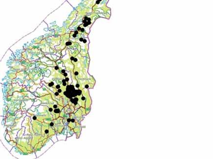 avkom: 800 000 Avlsverdier: 40 000 Utvalget