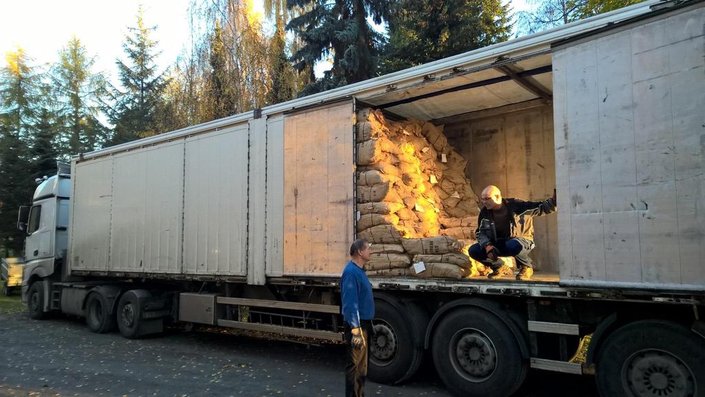 95 tonn kongler fra frøplantasjer - 5 tonn kongler fra bestand 2619 kg frø fra frøplantasjer - 100 kg frø fra bestand