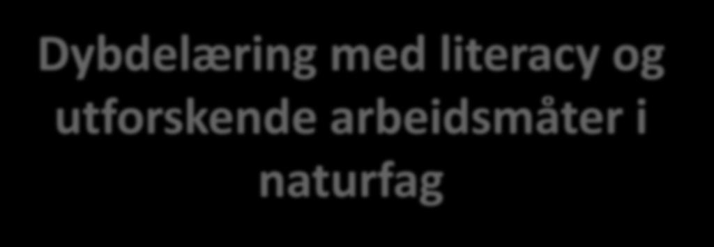 Dybdelæring med literacy og