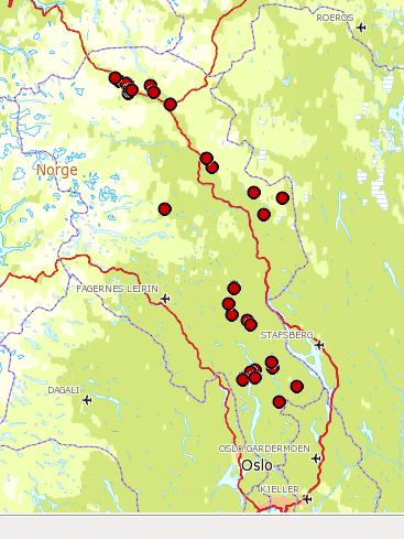 Figur 4. Observasjoner (ant/dokumenterte) av ulv 2012. Det er en økning i antall observasjoner i forhold til tidligere.