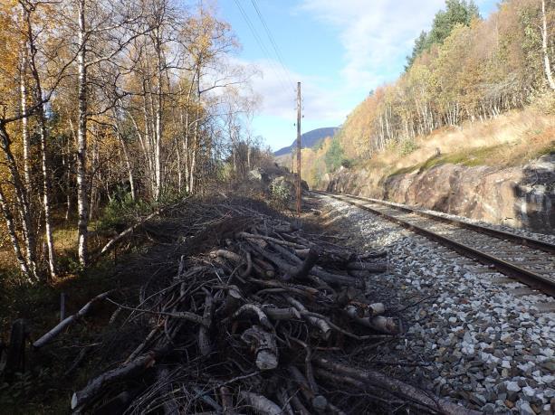 Gjennom dalen renner elva Rauma og E136 går langs østsiden av denne.