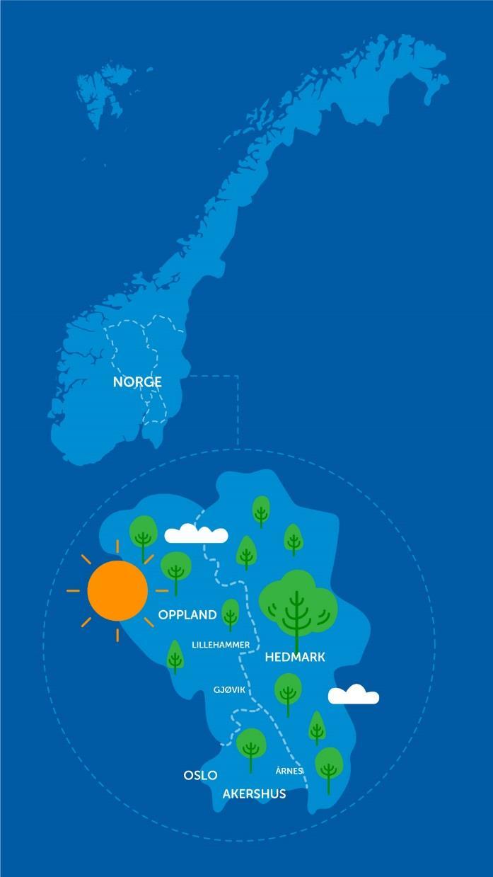 Nye Sparebanken Hedmark Norges fjerde største sparebank, etablert i 1845. Markedsområde i Hedmark, Oppland, Oslo og Akershus med 1,7 mill innbyggere. Hovedkontor på Hamar.