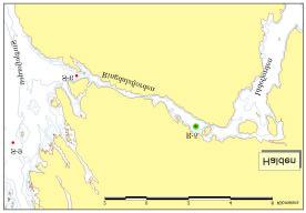 I forhold til klorofyll og sammensetningen av algeplankton har Leira til dels sammenlignbare forhold som de åpne områdene i hovedfjorden.