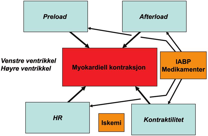 Hjertesvikt skyldes som regel redusert myokardfunksjon forårsaket av for eksempel iskemisk hjertesykdom, kardiomyopati, inflammasjon eller toksiner.