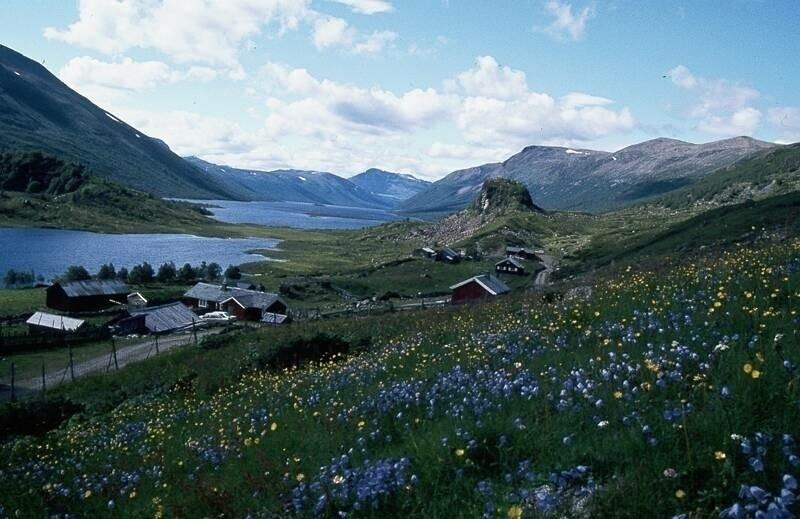 c Rettsikkerhet for naturen De miljørettslige prinsippene i 8 12 gir naturen en grunnleggende