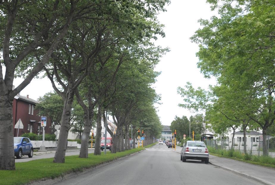 Hålogalandsgata Strekning: Hålogalandsgata fra Riksvei 80 til Sjøgata. Ca. 2,7 km lang.