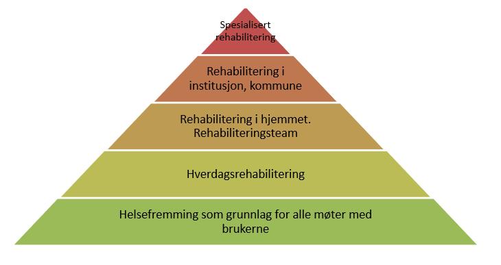 15 kartlegging. En annen viktig oppgave som disse faggruppene har, er å veilede andre medhjelpere som jobber rundt brukeren.