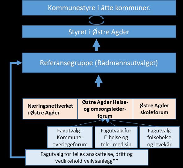 2.2 Vurdering fra referansegruppe, ledergrupper og fagutvalg. Kapittelet oppsummerer innspill som er gitt fra referansegruppen (rådmannsgruppen), ledergrupper og faggrupper.