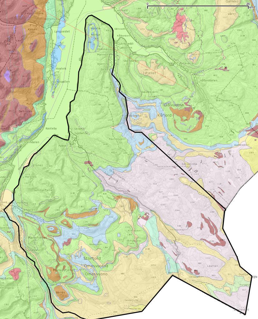Figur 10. Berggrunnskart over Helligskogen reinbeitedistrikt. Grønne, blå og brune arealer indikerer henholdsvis glimmerskifre, kalkholdige bergarter og mørke/mafiske bergarter.