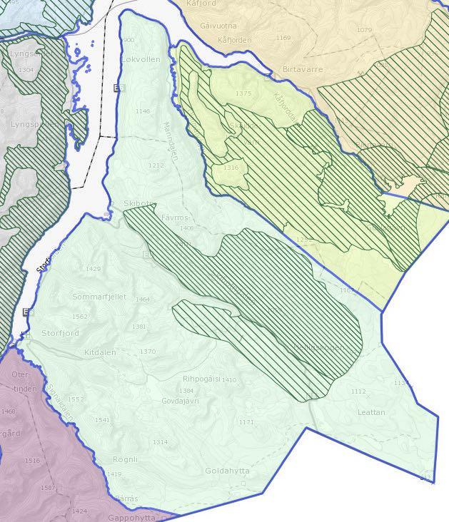 8 REINENS BRUK AV BEITER I DISTRIKTET Helligskogen reinbeitedistrikt er et helårsdistrikt. Det vil si at reinen ikke flyttes til et annet distrikt deler av året.