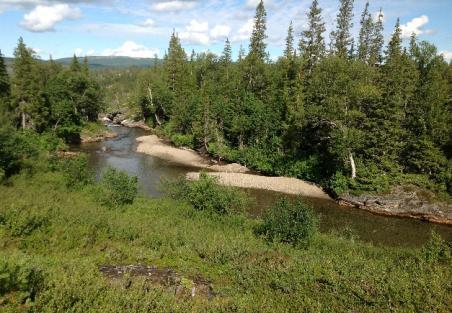 Bilde 71 Berglihøgda Hattfjelldal LO 919 Bilde 72 Storheia i Saltdal, LO 83 LANDSKAPS- GRADIENTER BESKRIVELSE IÅ GTG 01 Småkupert åslandskap med urørt preg KODE IÅ 01110100 11 Hovedtype- I