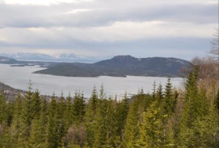 Kyst-åslandskap i Nordland Bilde 200. KÅ GTG 01, LO 1899 Tannøya og Jøssvågen, Hamarøy Bilde 201. KÅ GTG 02, LO 2498 Skorpa, Dønna. Bilde 202.