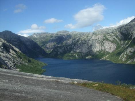 nedskåret dallandskap. Fellestrekk for denne skarpskorne formen med innsjøer, er at alle områdene ligger i bergartssoner med store grunnfjellsmassiv.