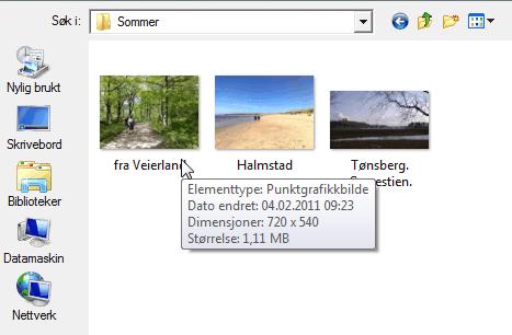 laget selv der jeg har lagt inn noen bilder jeg har tatt. Denne mappen har jeg kalt sommer.