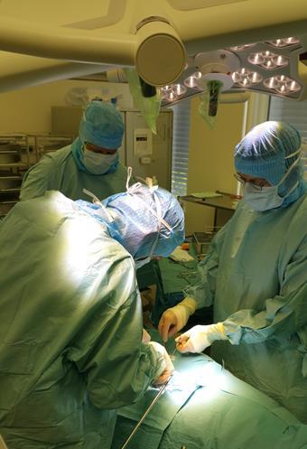 Operasjonsaktivitet FOR-stue 8 Klinikk for Ortopedi 2016 Primærhofter 84 Revisjonshofter 24 Kneproteser 218