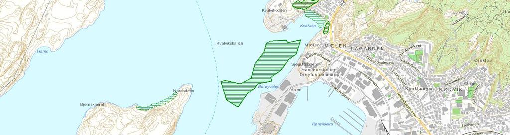 En gjennomgang av kunnskapsbasene avdekker at dumpeområdet i Nyholmsundet ligger mellom to forekomster av den marine naturtypen «skjellsand» (figur 6).