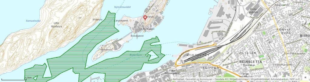 Figur 6: Oversikt over naturtypen skjellsand (merka med grønt) ved Bodø havn og Nyholmsundet (kart henta fra Miljødirektoratets Naturbase). Naturtypen er vanlig å finne på lesida av holmer og skjær.