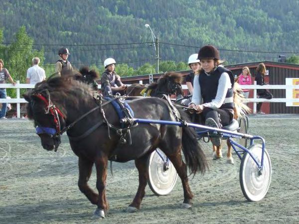 PONNITRENINGER I hele 2009 har det vært arrangert i overkant av 25 ponnitreninger i Buskerud. Det er i gjennomsnitt 10-12 ponnier på hver trening.