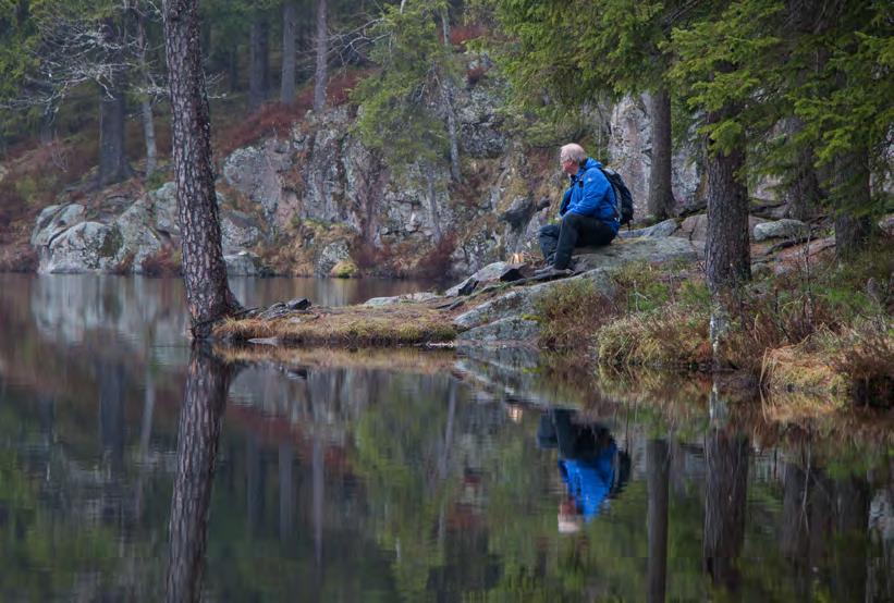 Foto: Anne Westad. HR. Medarbeiderregnskap KLP jobber målrettet med sykefraværet, har fokus på kompetansestyring og kontinuerlig forbedring.