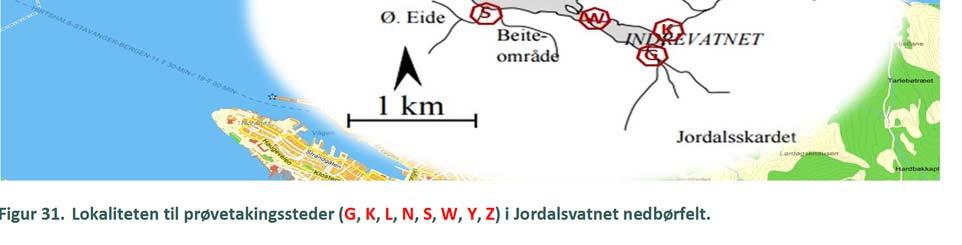 I hele prosjektperioden (mai - desember 2015) ble det tatt ut til sammen 43 vannprøver hvorav 40 prøver fra åtte prøvetakingssteder i Jordalsvatnet