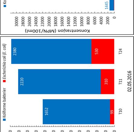 koliforme bakterier og