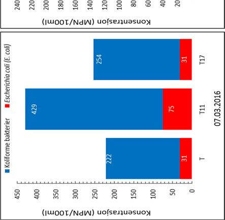 coli) i vannprøvene