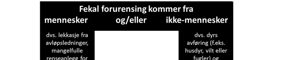 1 Fekal forurensing Fekal forurensing betyr at forurensingen kommer fra avføring fra mennesker eller dyr (f. eks. husdyr, vilt eller fugler).