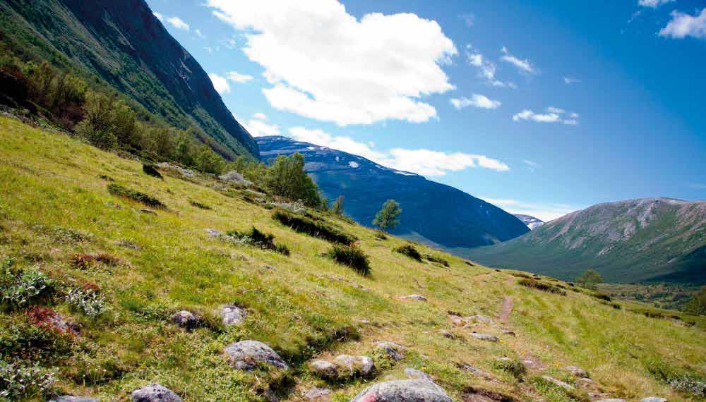 4 Tur til Grøvudalen Lørdag 22. juli 2017 Sving av på Gjøra, kjør opp forbi Svisdal gård og forbi Hafsåsen.