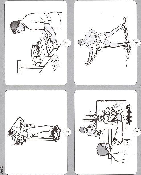 Figur 12: Deloppgaven der trimme/trene var målordet. Hentet fra Dunn, Dunn Whetton og Burley (1997). Målordet illustreres med et bilde som viser en som trener ved et treningsapparat.