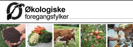 Nytt fra forskning om bekjempelse av insekter P i økologisk grønnsaksdyrking i Sveits Thomas