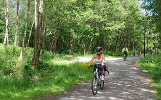 Vurdering av dagens situasjon Hovedtrekkene fra helhetsplanen for utbyggingen av Fyllingsdalen er fortsatt viktige, men med et forbedringspotensiale på en del felt: Bydelssenteret mangler mangfold,