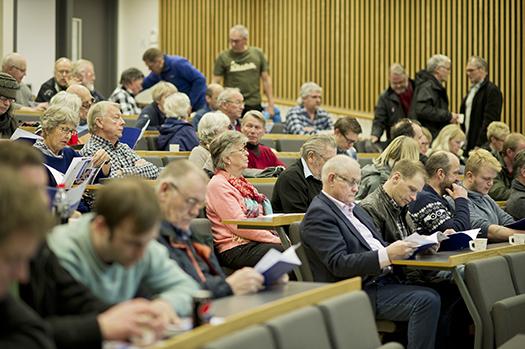 Medvirkning i reguleringsplanprosessen Arenaer