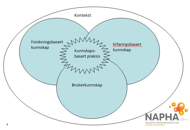 Brukerperspektiv, potensiale til noe stort Reell brukermedvirkning, synliggjøring og bruk av brukeres kunnskap- er