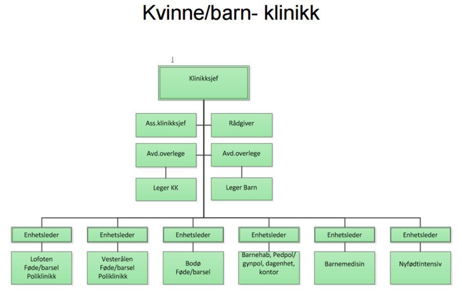 /gynekologiske undersøkelser og gjennomfører gynekologiske operasjoner i tråd med dagens funksjonsfordeling.