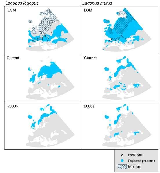 Predicted distributional changes