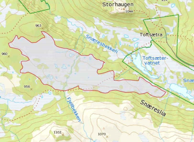 Figur 4. Avgrensing av naturtypefigur i Snæreslia. Lokalitet/delområde: Snæresbekken nord Feltsjekk: GHØ og Astri Aadnes 27.10.2012.