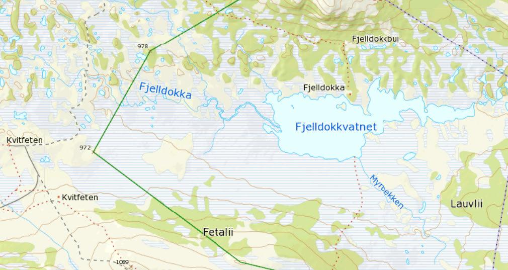 Lokalitet/delområde: Fjelldokkvatnet og myrene sør for dette Feltsjekk: GHØ 16. og 17.5.