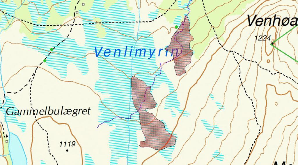 Lokalitet/delområde: Venlimyrin Feltsjekk: BHL 16.8.2012 Store intermediære til middelsrike bakkemyrer (mest fastmatter) med rike myrkanter og striper med fjellheivegetasjon i mellom.