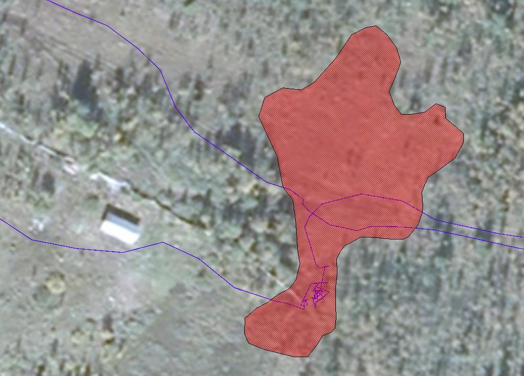 funnet med beskrivelse og avgrensning av lokaliteten blir rapportert i faggrunnlaget for huldrestarr (Larsen & Gaarder 2012). Figur 29. Avgrensning av lokaliteten med huldrestarr (VU) ved Gulsandlia.