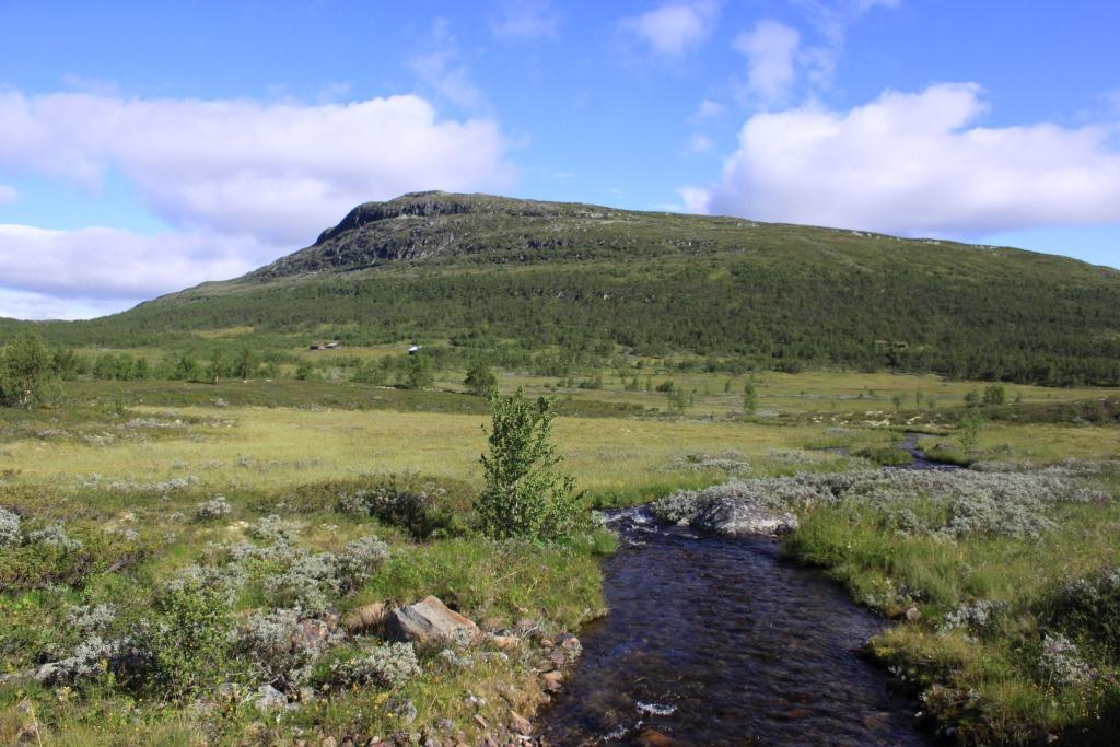 Figur 31. Ongsjøsætran og Ongsjøfjellet. Setervollene og lia under Ongsjøfjellet er av de rikeste vokseplassene for skjeggklokke (VU) som er påvist i Langsua-området.